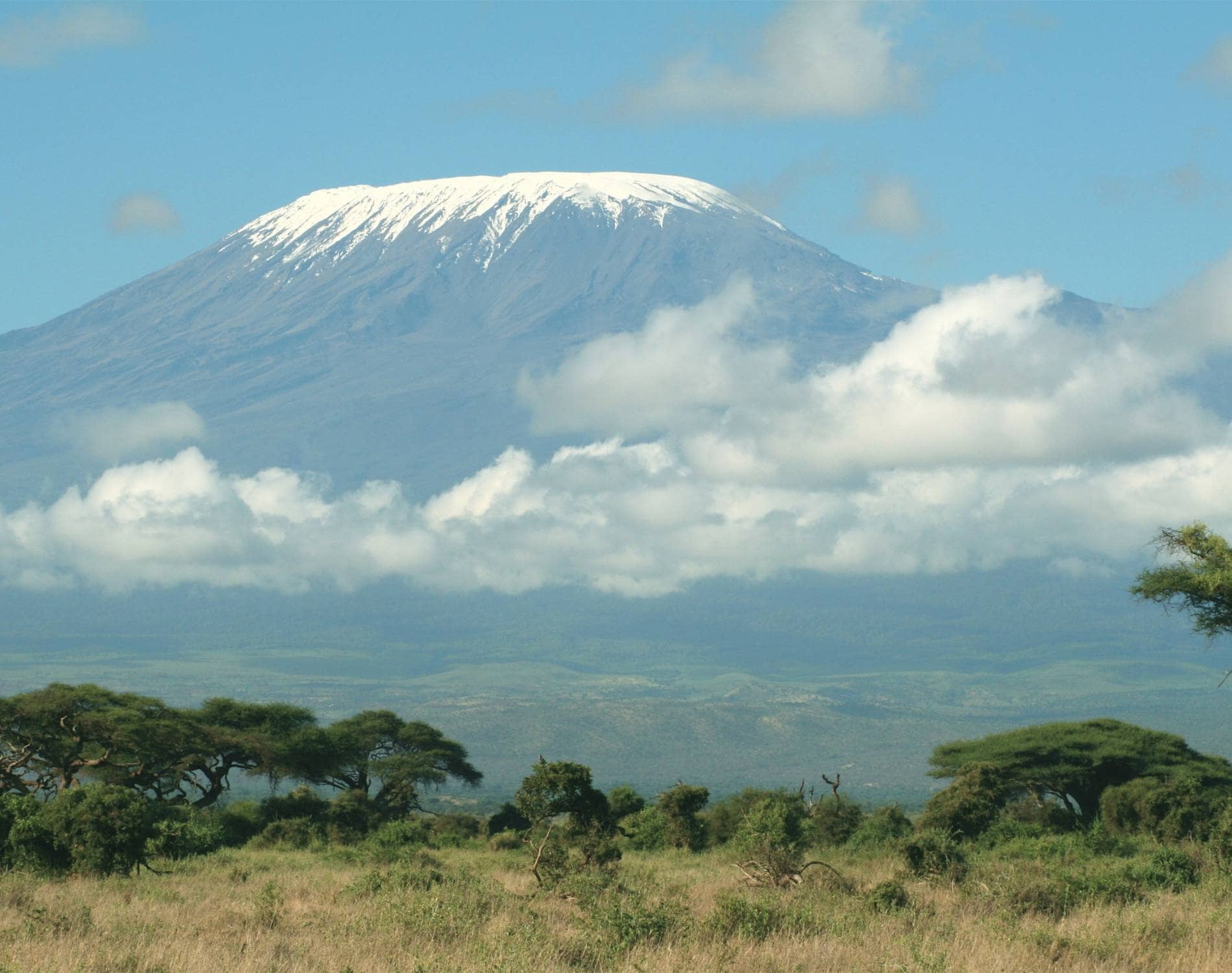 8-Day Lemosho Route Climb — Kilimanjaro