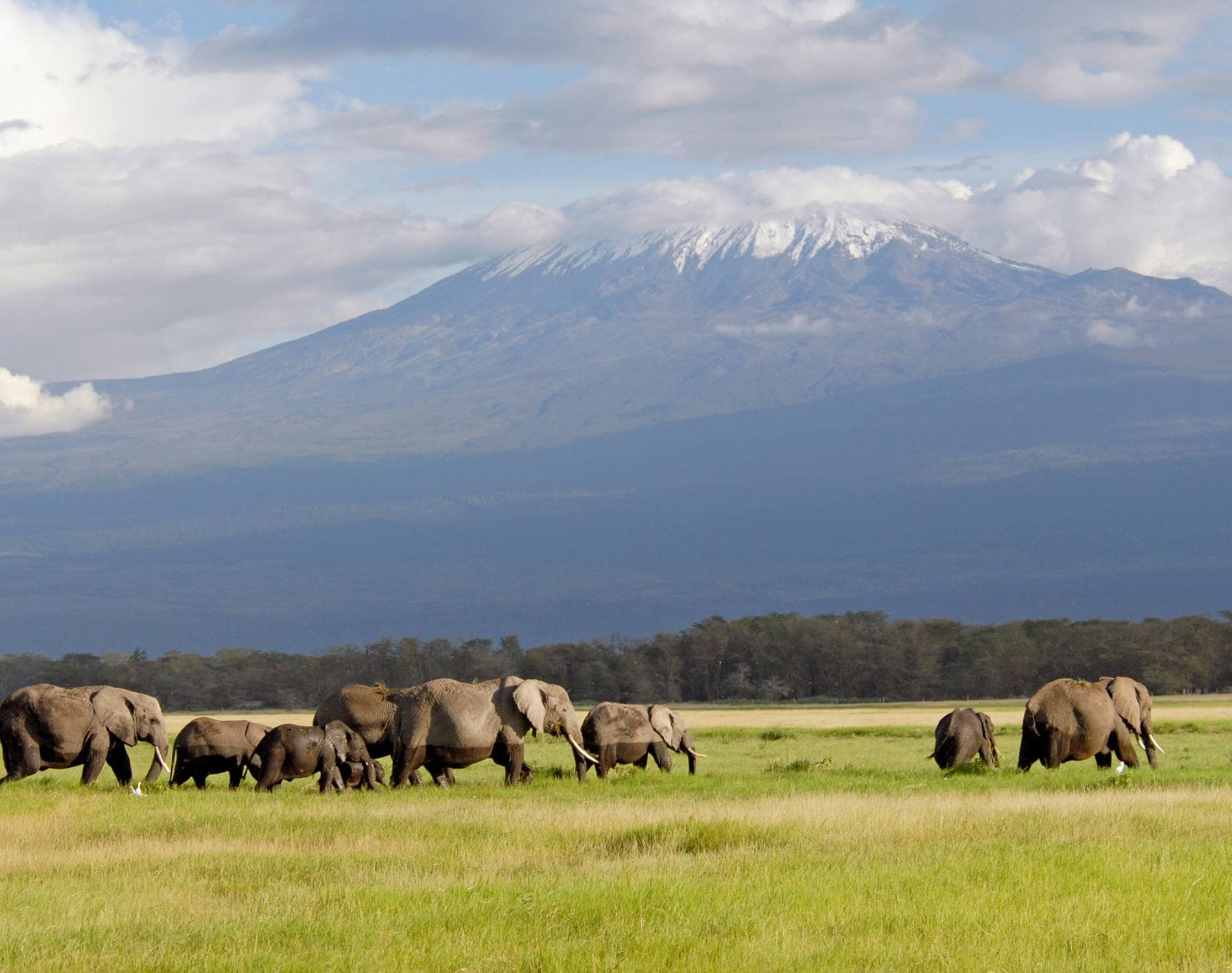 9-Day Northern Circuit Climb — Kilimanjaro
