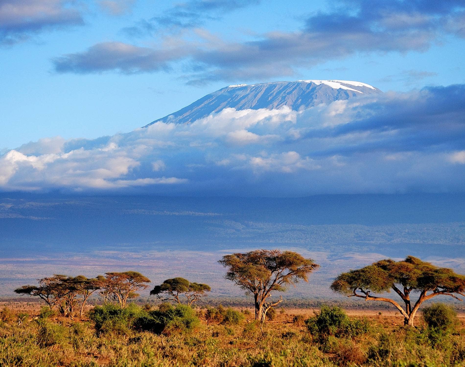 Northern Circuit Crater Camp Climb — Kilimanjaro