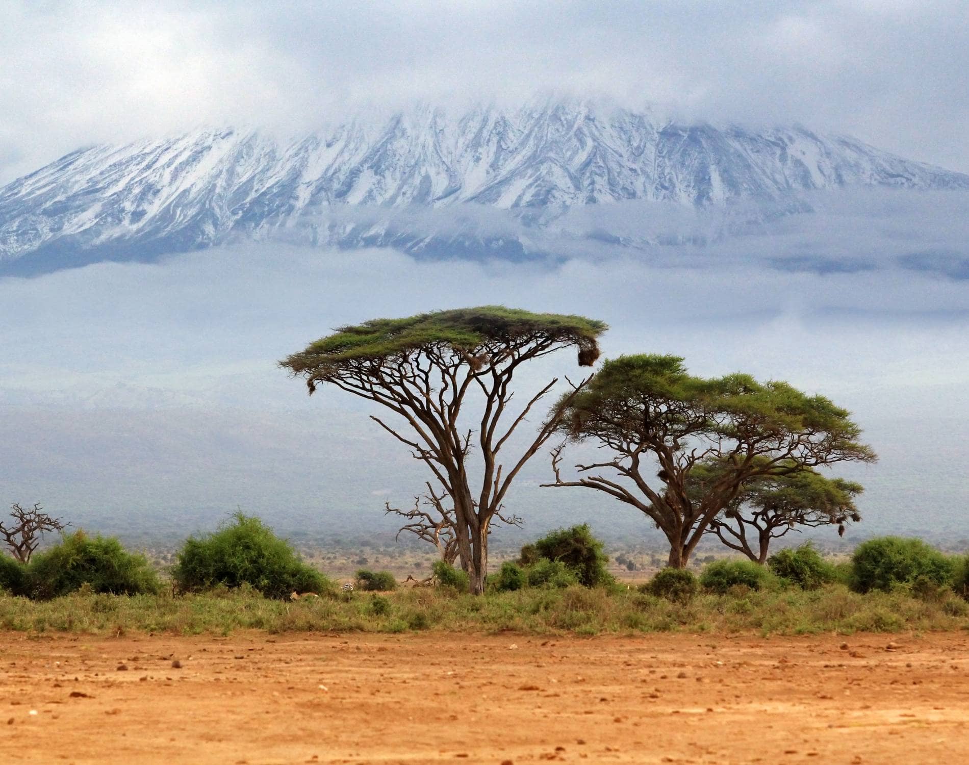 VIP Northern Circuit Climb — Kilimanjaro